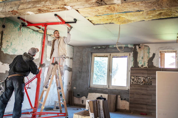 Best Insulation Maintenance and Repair in Dublin, TX